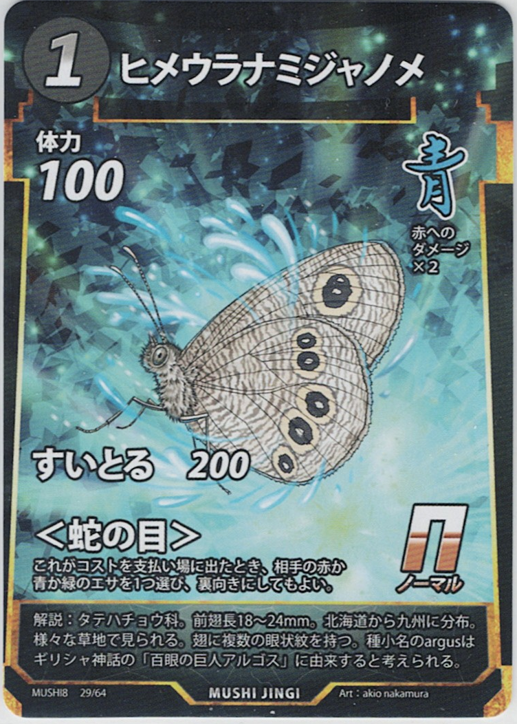 MUSHI8-029 N ヒメウラナミジャノメ